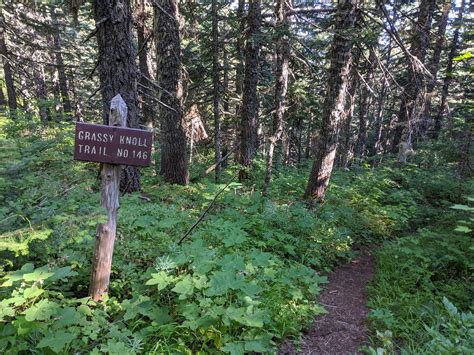 Grassy Knoll Trail Sign Ford Pinchot National Forest A Photo On