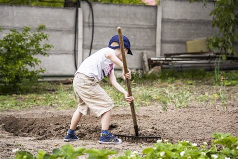 Boy Digging A Garden Stock Image Image Of Village Education 73070567