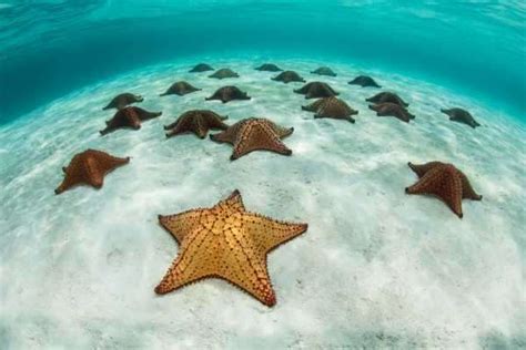 Under The Sea 50 Breathtaking Images From Our Oceans Interesting News