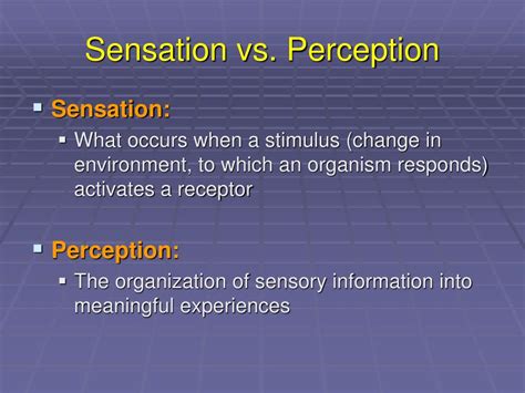 Ppt Chapter 8 Sensation And Perception Powerpoint Presentation Id