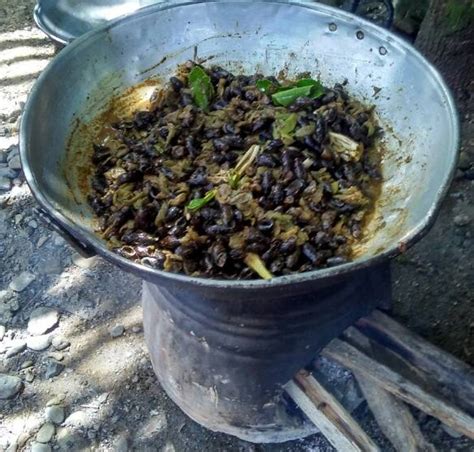 Gulai kambing khas minagkabau, melayu, dan aceh. Cara Memasak Makanan Tradisional Aceh Gulai Lakitang ...