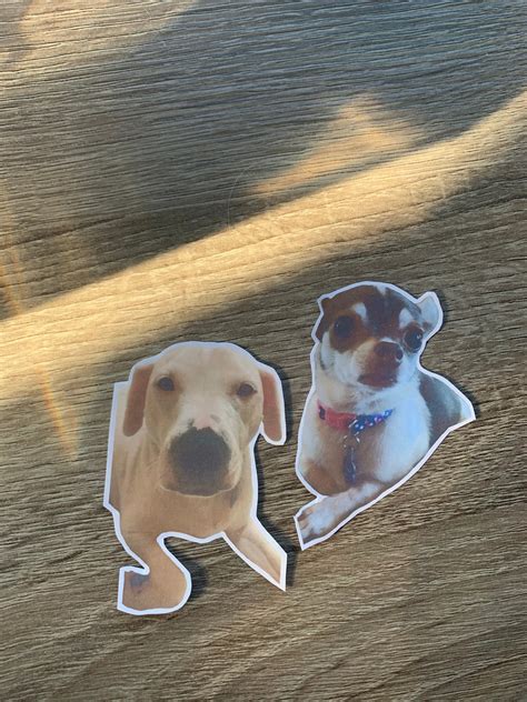 Custom Dog Stickers Etsy