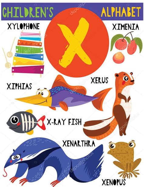 Letter Xcute Childrens Alphabet With Adorable Animals And Other
