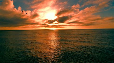 Orange Ocean Sunset Free Stock Photo Public Domain Pictures