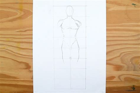 Proportions Human Body Drawing Francesbeaux