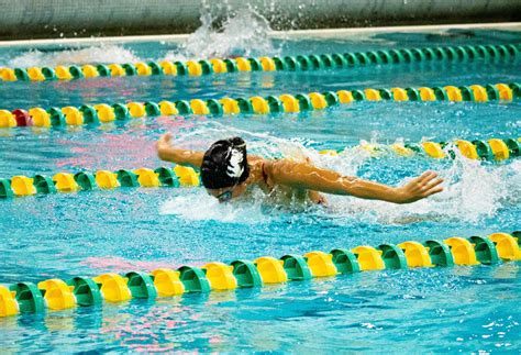 5 Great Swim Lap Counter Watches Picks And Tips Howtheyplay