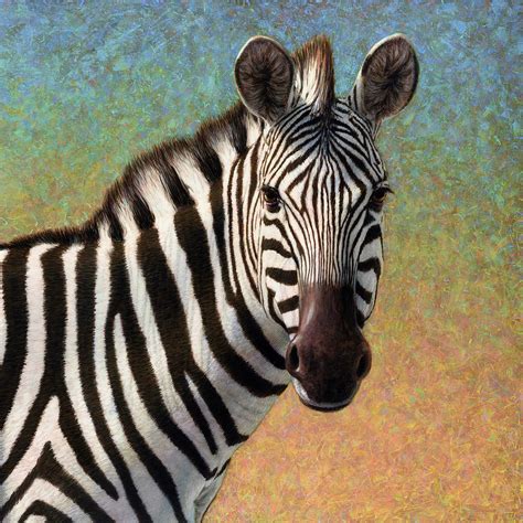 James W Johnson Portrait Of A Zebra Zebra Canvas Art Zebra