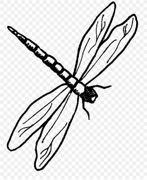 Black And White Clipart Dragonfly 10 Free Cliparts Download Images On