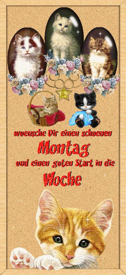 Gif bilder guten morgen lustige guten morgen sprüche. Katzengrüße zum jeweiligen Wochentag - minimausers Webseite!