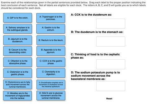 One of the most common complaints novice public speakers in this chapter, we will explore why introductions and conclusions are important, and we. Solved: Examine Each Of The Relationships Given In The Par... | Chegg.com