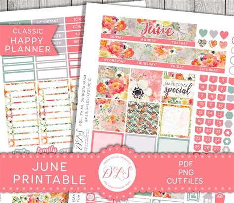 Printable June Stickers Kit Happy Planner June Monthly Etsy Happy