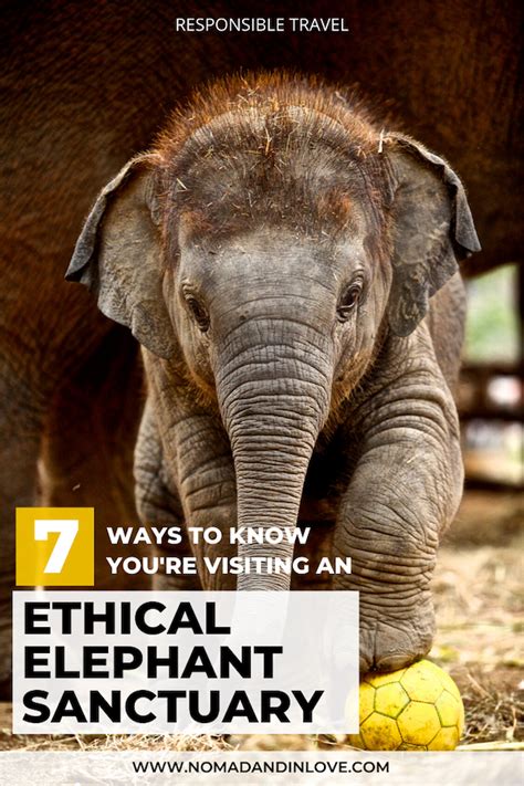 7 Sustainable Travel Tips For Visiting An Ethical Elephant Sanctuary