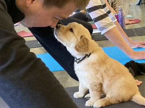 Puppy Love Yoga