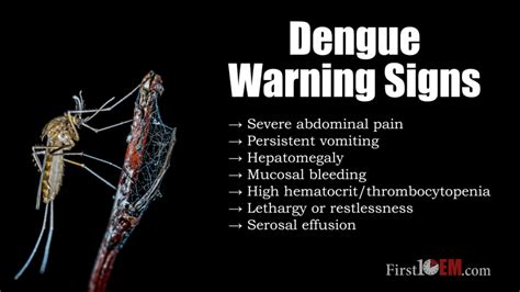 Rapid Review Dengue Fever First10em