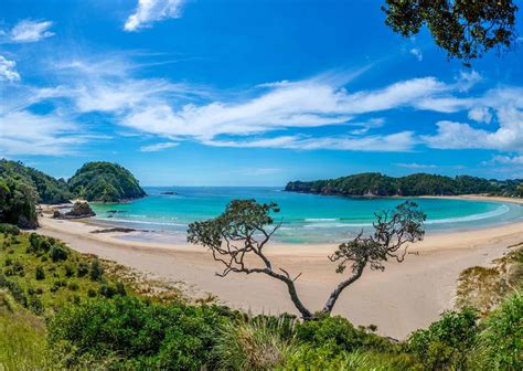 Top 6 Beaches In Whangārei New Zealand Guide