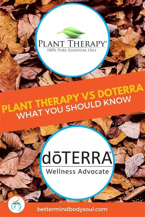 Plant Therapy Essential Oils Vs Doterra What You Should Know