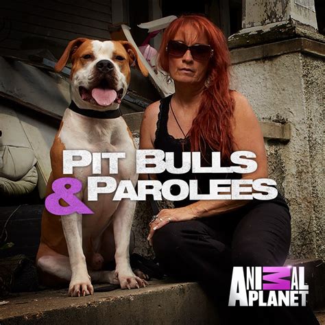 Is Pit Bulls And Parolees Coming Back In 2024 Nani Pollyanna
