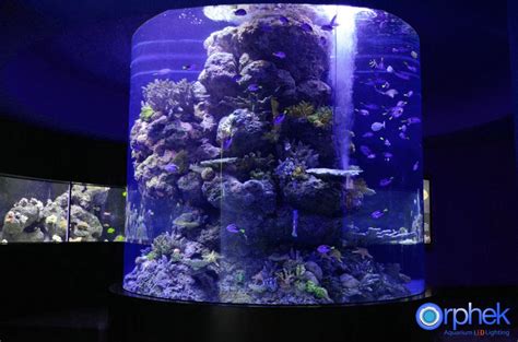 Chengdus Cube Oceanarium Sets A Record