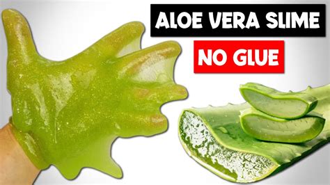The good news is that these edible slime recipes are usually inexpensive to make, and they are safer than glue and borax slime! ALOE VERA AND TOOTHPASTE SLIME ONLY WITHOUT GLUE BORAX/How ...