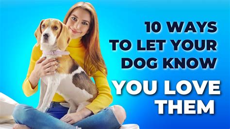 10 Best Ways To Show Your Dog You Love Them Youtube