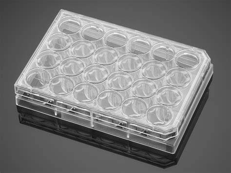 353047 Falcon® 24 Well Clear Flat Bottom Tc Treated Multiwell Cell Culture Plate With Lid