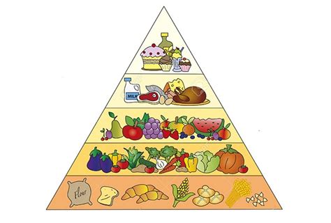 Piramide Alimentare Mediterranea Cosè E Come Funziona