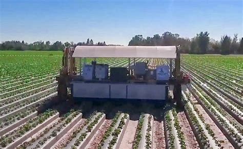 Will Agricultural Robots Soon Take Over The Farming Industry Ope Reviews