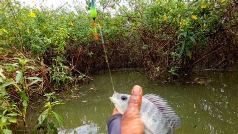 Pantas Saja Para Pemancing Betah Di Spot Ini Mancing Nyobok Terbaru Youtube