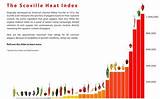 Pictures of Heat Index Scale
