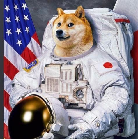 Doge To The Moon 🚀 Rdogecoin