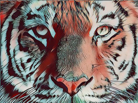 Tiger Face Wildlife Pop Art Digital Art By Shelli Fitzpatrick Pixels