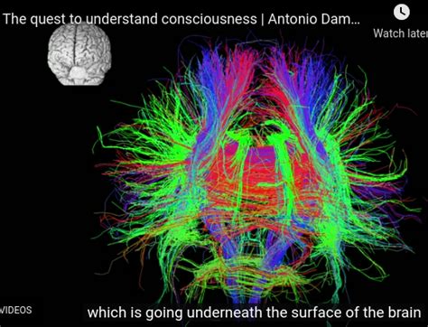 Brain And Mind Brain States Consciousness Eeg And Depression Language