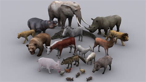 3d Model Animals Full Pack Game Ready Animated Models Vr Ar Low