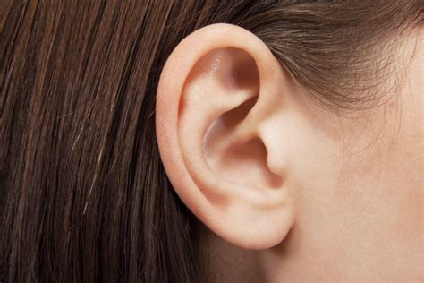 Ear Perforated Ear Drums Ent Specialists Of Metairie