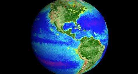 20 Años De Cambios En La Biosfera De La Tierra Resumidos En Un