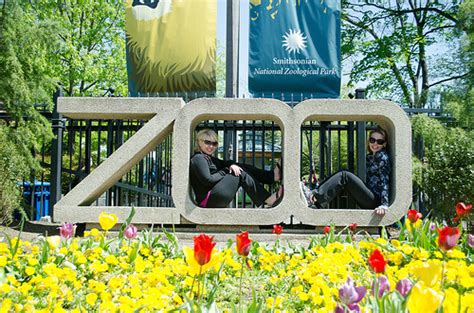 The National Zoo Will Be Open For 1000 Fewer Hours In 2016 Greater