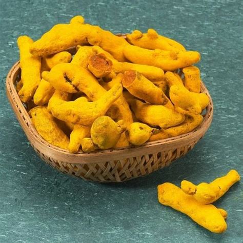 Erode Single Polished Turmeric Finger At Best Price In Chennai Id