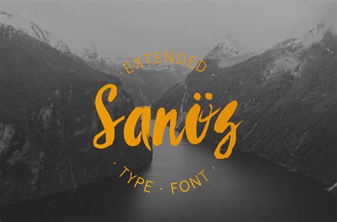 So you can use these fonts for your logos, clothing, banners, posters, or even youtube thumbnails! Sanös Extended Script Font - WILDTYPE