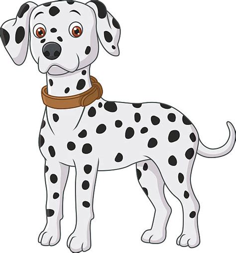 Dalmatians Drawings Stock Photos Pictures And Royalty Free Images Istock