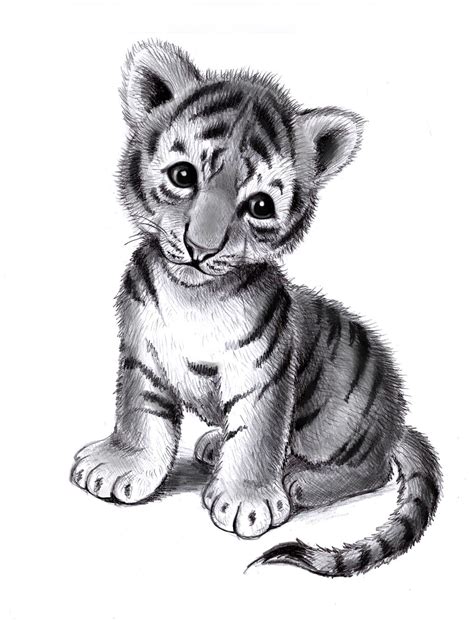 Tiger Cub By Zdrer456 On Deviantart