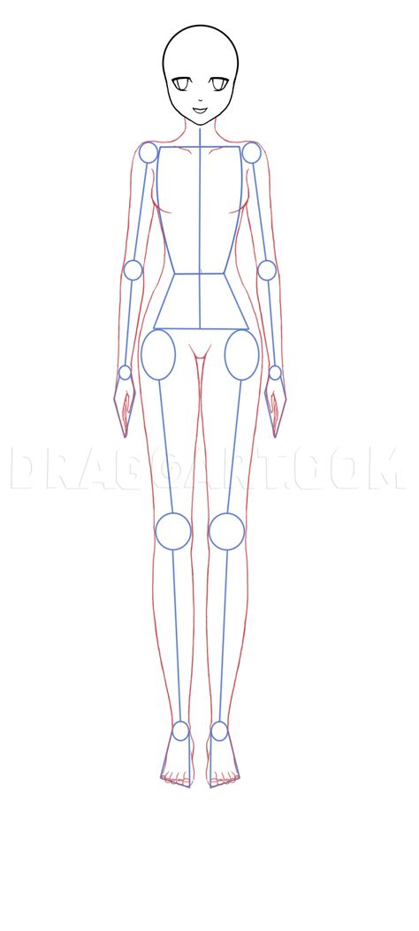 How To Draw A Male Body Outline