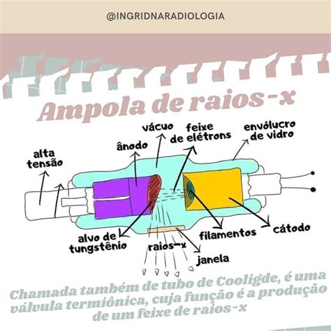 Ampola De Raio X Componentes