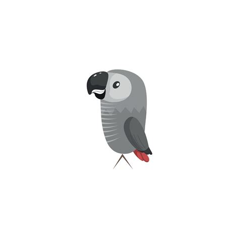 Vector Grey Parrot Png Image Png All Png All
