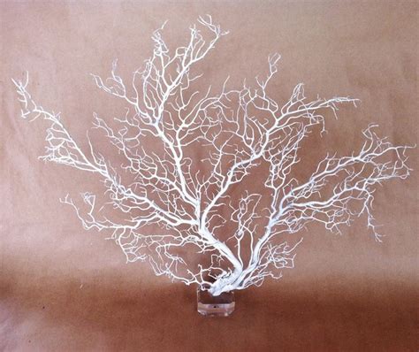 Decorate your home or office. White Sea Fan Coral Branch on Acrylic Base - Home Decor - los angeles - by NAK Home Decor
