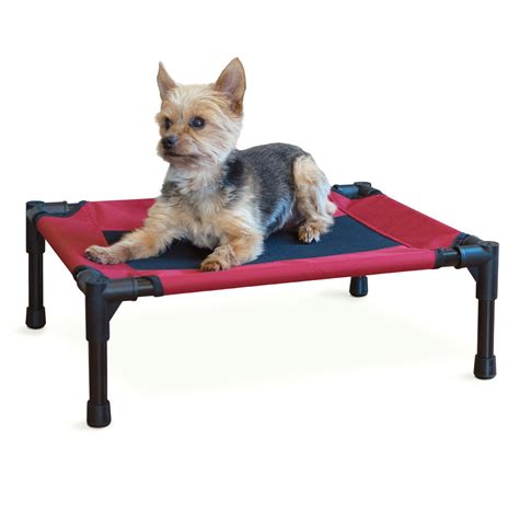 Elevated Dog Bed Small