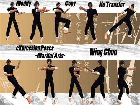 Second Life Marketplace Expression Poses Martial Arts Wing Chun