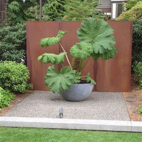 Plants can grow up to three metres tall and four metres across. Scot Eckley Landscaping Blog | Plants, Architectural ...