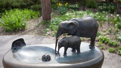 Lincoln Park Zoo Elephant Drinking Fountain Chicago Park District
