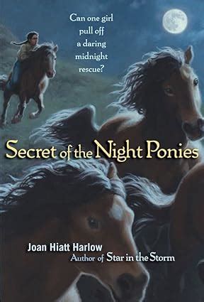 Secret Of The Night Ponies Harlow Joan Hiatt 9781416907848 Books