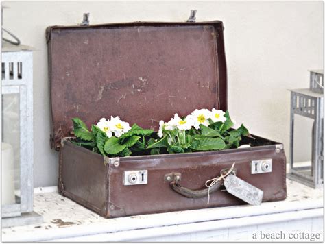 Vintage Suitcase Repurposed Into Planter Charming Upcycled Home